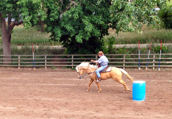 barrel racing sylvan dale ranch