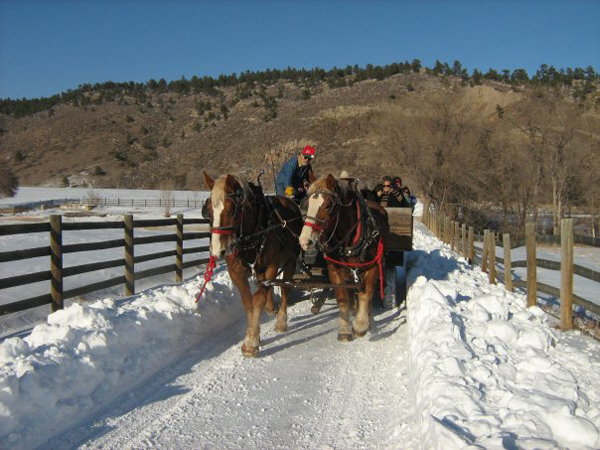 Horse Sleigh Ride Sylvan Dale