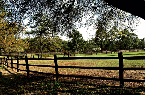 tanglewood B&B pinehurt nc