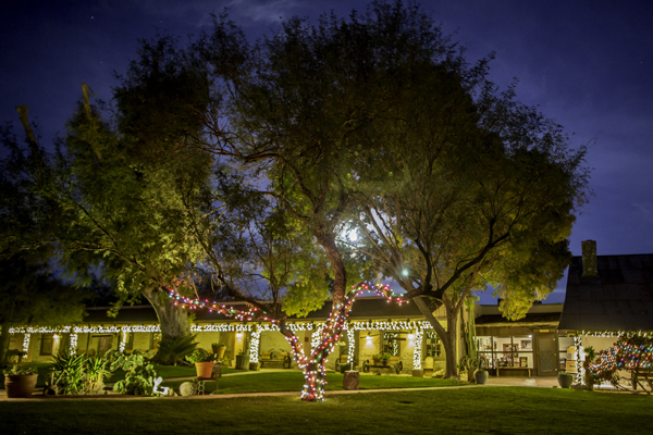 Tanque Verde Holiday Lights