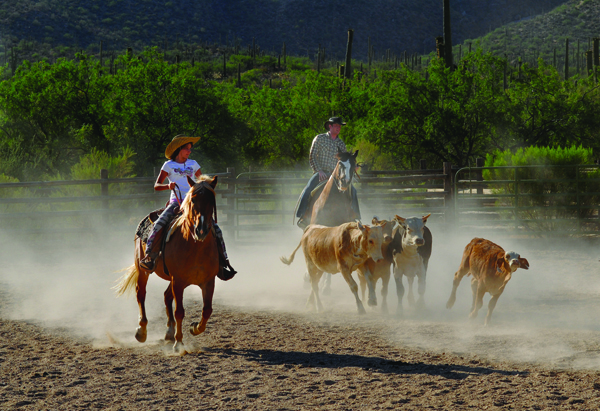 tanque verde ranch resort california