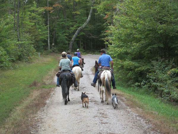 Trail Riding Tennessee