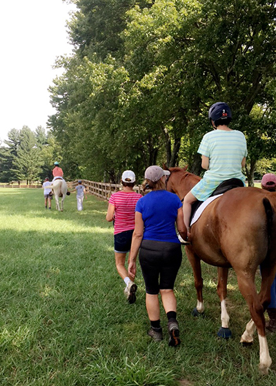 therapeutic riding elevation equitation horses