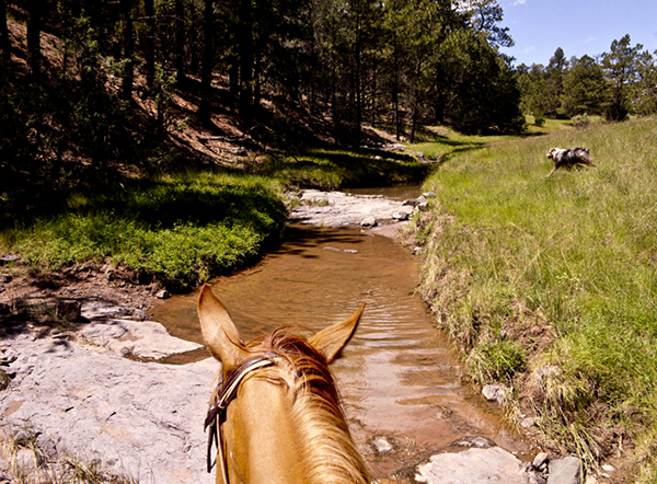 thru the ears nm horseback