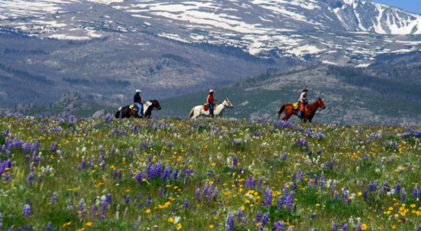 top 20 ranches 