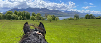 horse riding tour guide