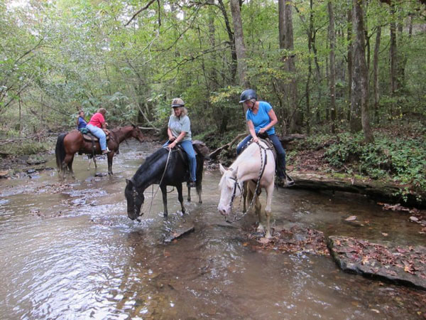 Tennessee Trail RIding at Big South Fork