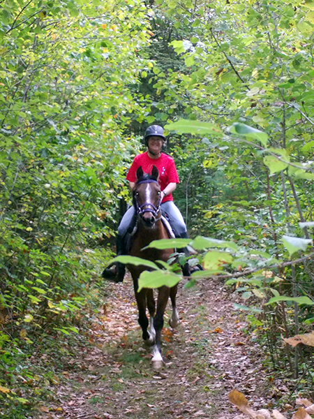 woman trail horseback riding at robinson state park in feeding hills massachusetts