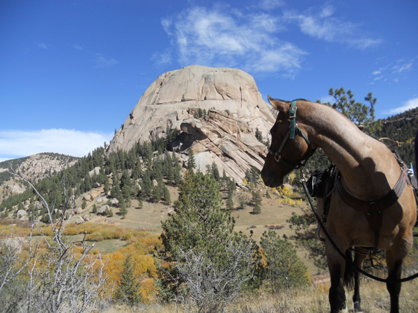 trail riding dome rock colorado horse