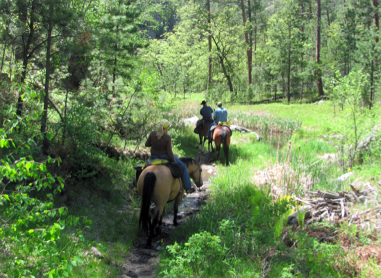 Trail riding along French Creek in Custer State Park 