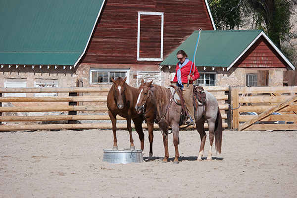 Trapper Creek Ranch Wyoming horsemanship clinics