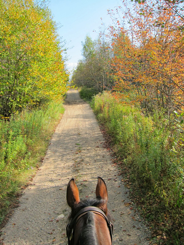 lazy w trimble mountain maine horseback