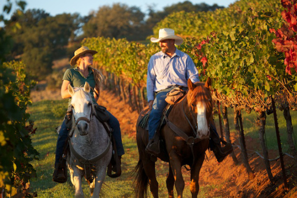 Triple Creek Ranch Vineyard Ride