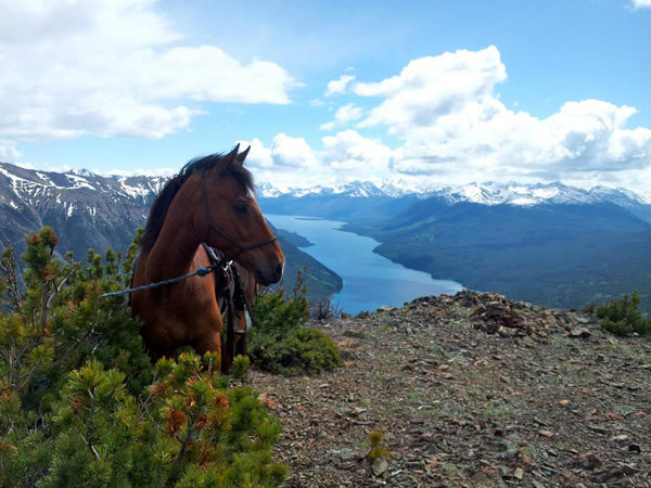 tsylos park lodge horseback bc