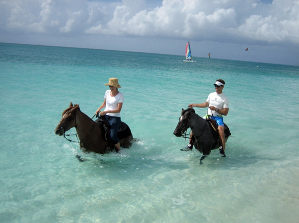 horseback riding in the ocean caribbean turks and caicos