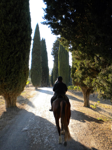 Tuscany equestrian vacation