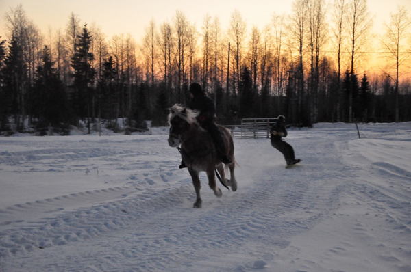 Skijoring Lessons in Finland