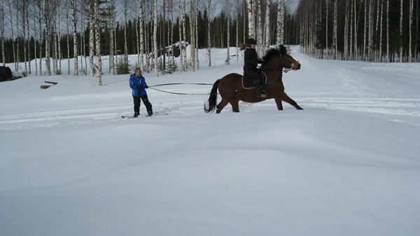 Pisan Erarastut Finland Skijoring