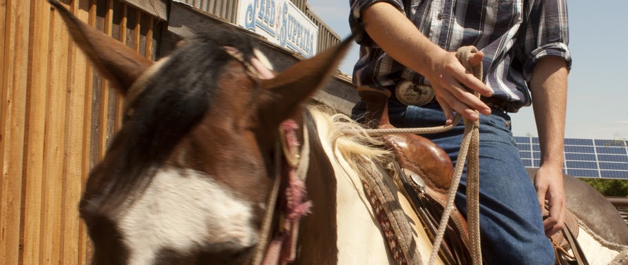 Neck reining