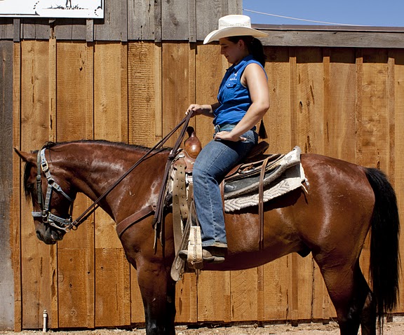 Stopping your horse