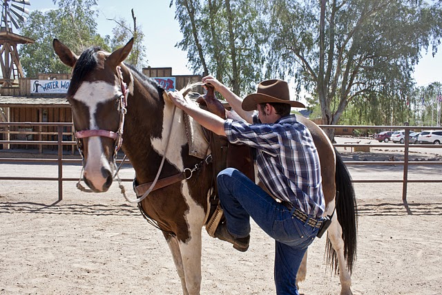 Horsemanship 101: Mounting