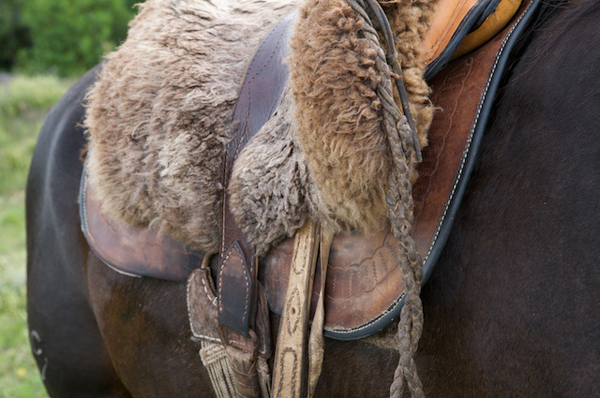 best horse saddles in the world