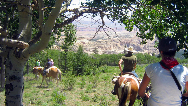 utah mountains horseback riding trails