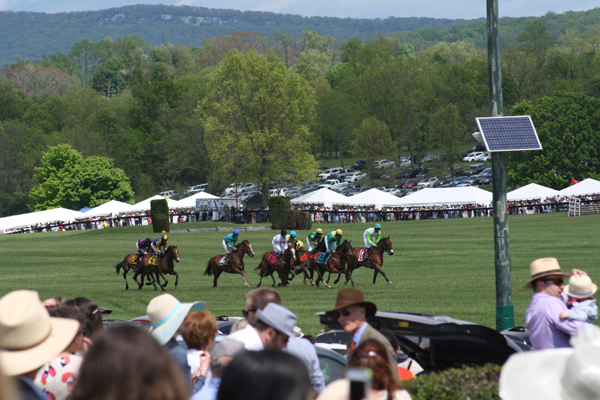 Virginia Gold Cup Members Hill View