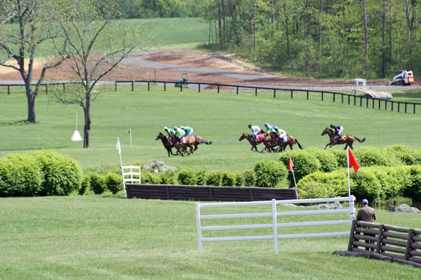 Virginia Gold Cup Steeplechase Race