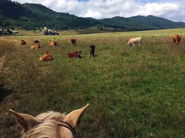 valley of the enigmas mexico horseback