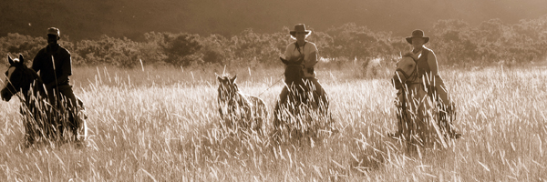 Afternoon canter with Varden Safaris