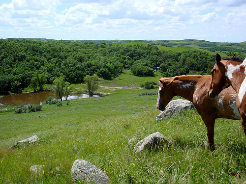 veeder ranch, nd