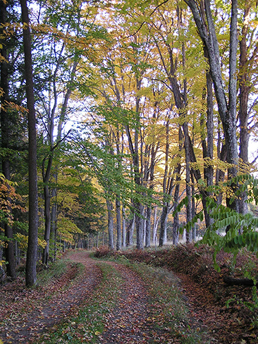 vermont carriage road bridle path horses