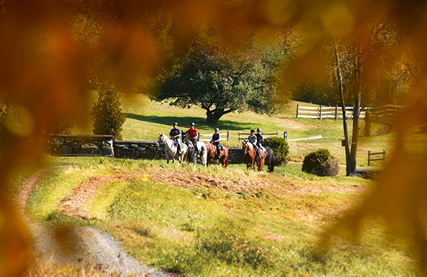 vermont horse riding fall leaves