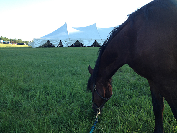 Moonlight in Vermont horseback riding endurance race