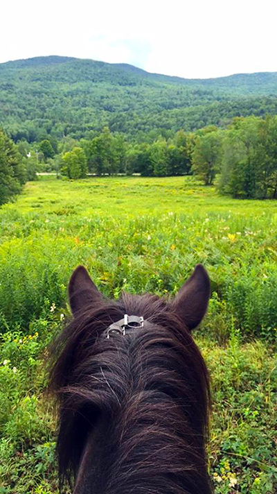 Vermont Green Mountains Icelandic Horses