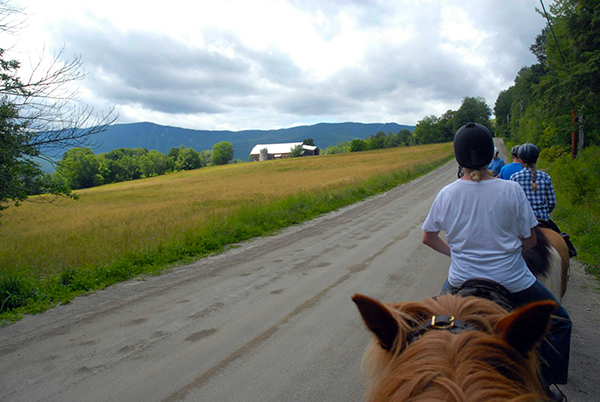 Vermont Icelandic Horse Farm