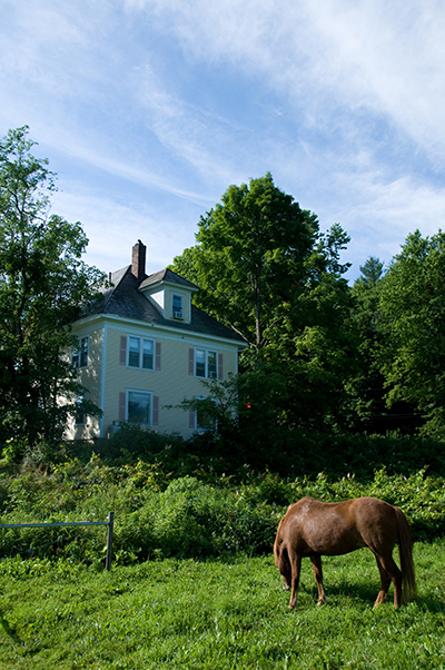 Vermont Icelandic Horse Farm Equitrekking