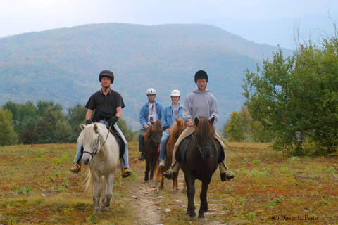 vermont icelandic horse farm horseback