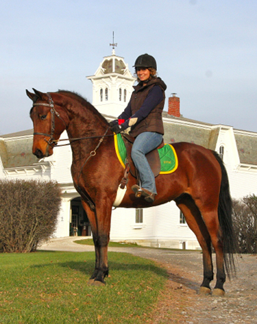 vermont morgan horse farm