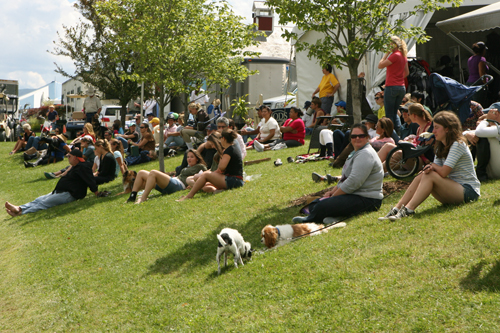 vermont summer horse festival