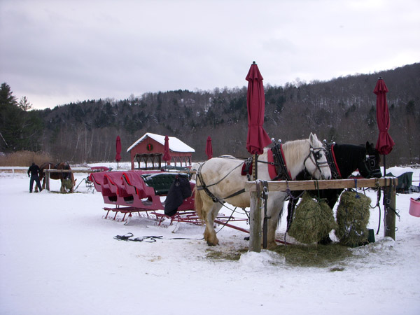 gentle giants sleighs