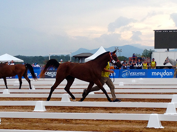 Vetting in at WEG