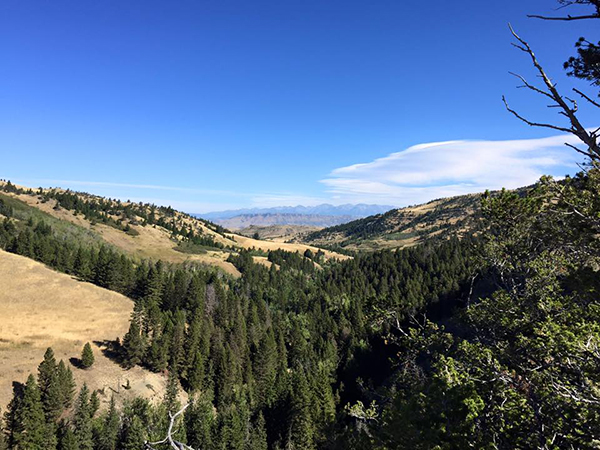 view of bobs bluff 63 ranch montana 