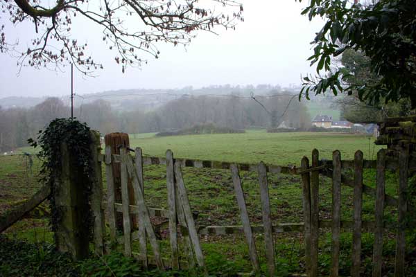 view from farm