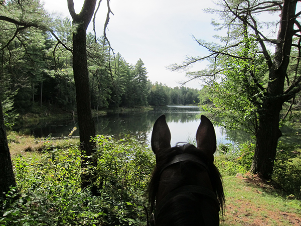 view from horseback of catspaw lake in adirondack mountains 