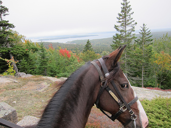 view of acadia national park from horseback 