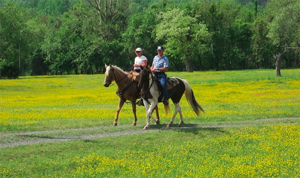 Virginia horse riding graves