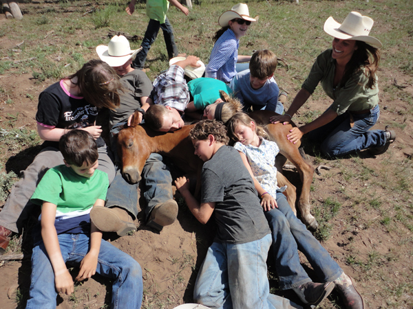 Vista Verde Foal Clinic with Kids