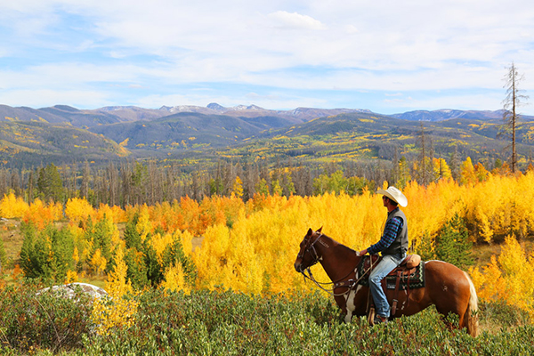 vista verde fall colors colorado